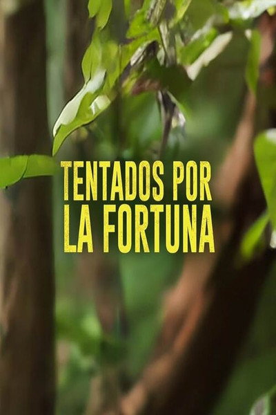 Póster de Tentados por la Fortuna