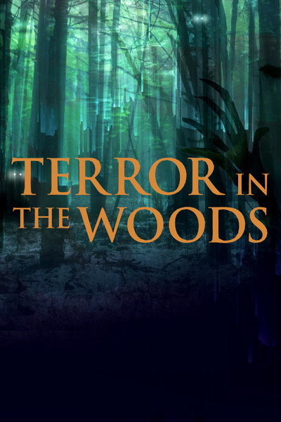 Póster de Terror in the Woods