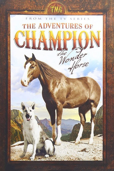 Póster de The Adventures of Champion
