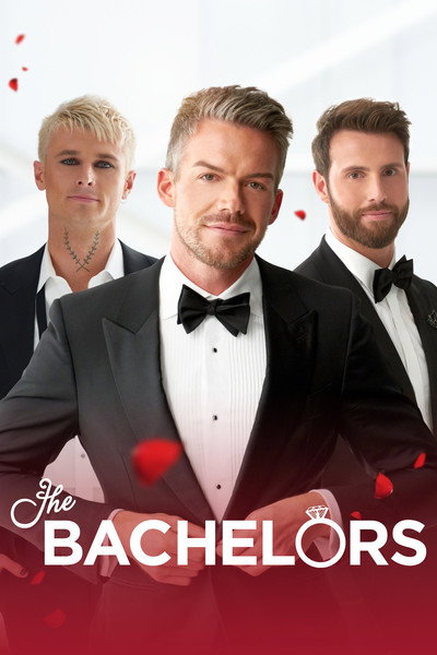 Póster de The Bachelor