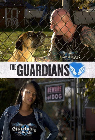Póster de The Guardians