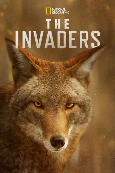 Póster de The Invaders