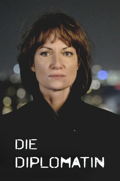 Póster de The Lady Diplomat