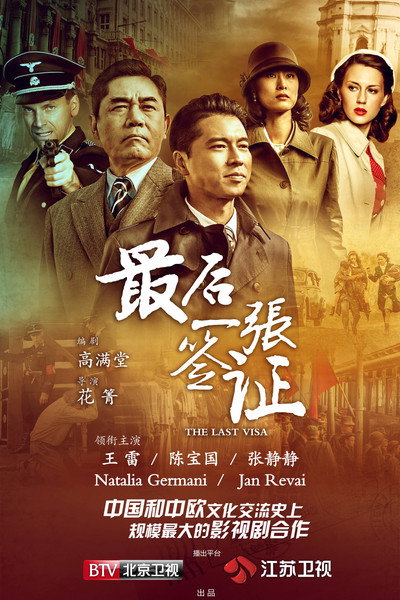 Póster de The Last Visa