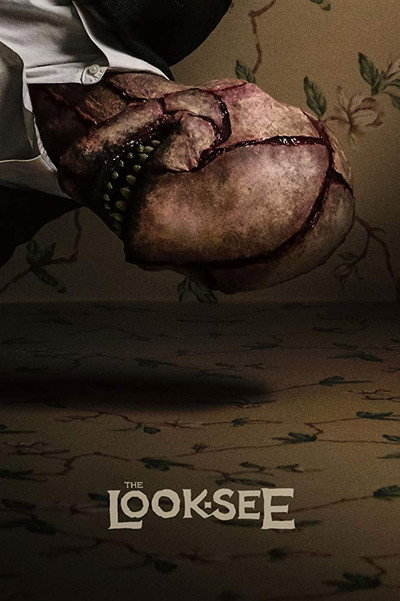 Póster de The Look-See
