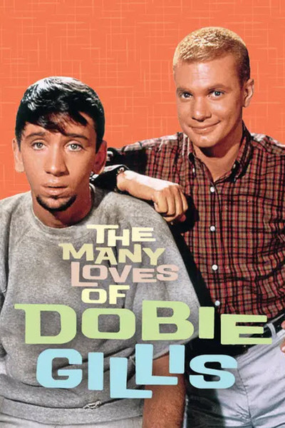 Póster de The Many Loves of Dobie Gillis