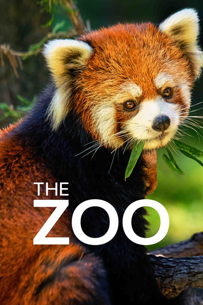 Póster de The Zoo