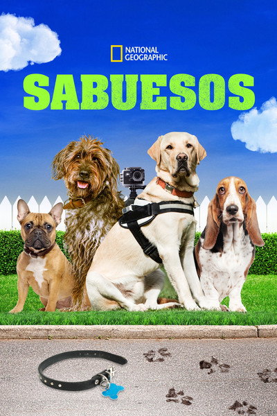 Póster de Trackers