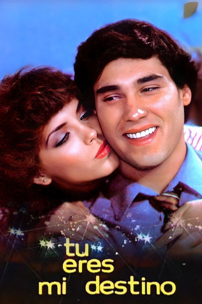 Póster de Tú eres mi destino