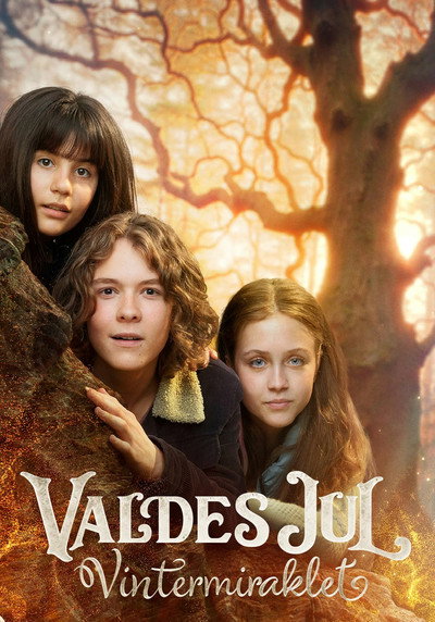 Póster de Valdes jul - Vintermiraklet