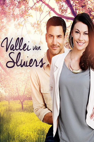 Póster de Vallei van Sluiers