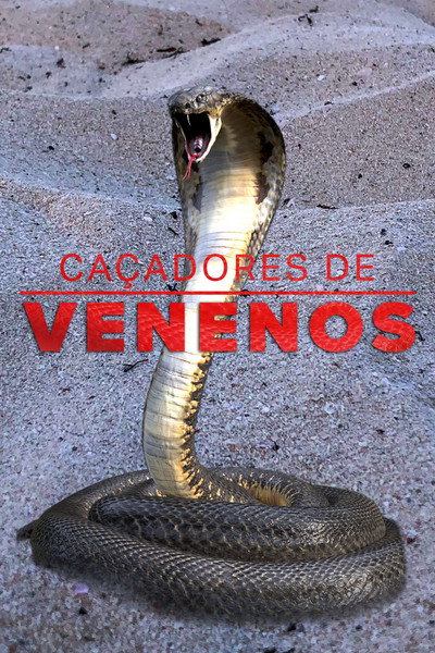 Póster de Venom Hunters