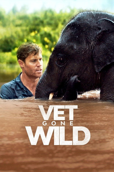 Póster de Vet Gone Wild