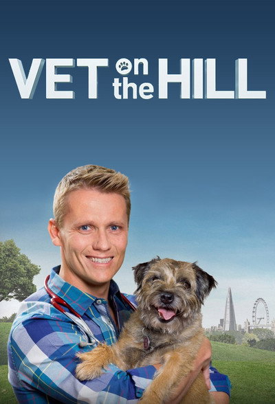 Póster de Vet on the Hill