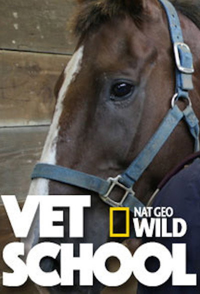 Póster de Vet School