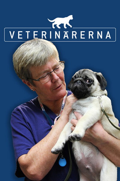 Póster de Veterinärerna