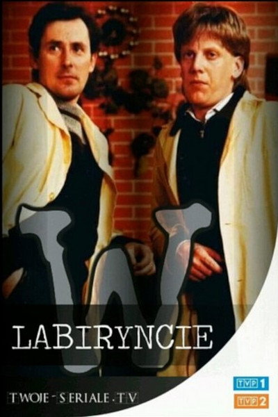 Póster de W labiryncie