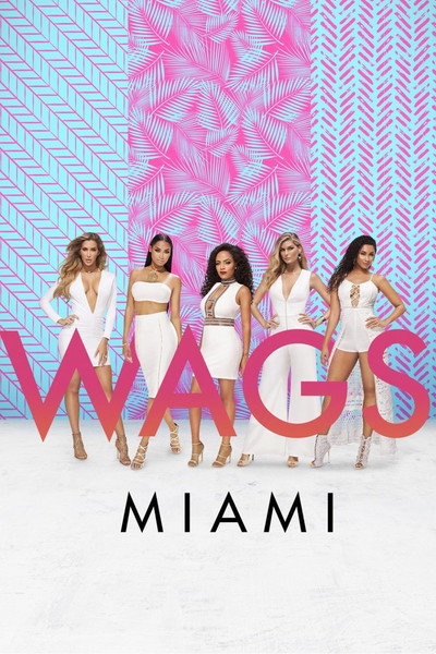 Póster de WAGS Miami