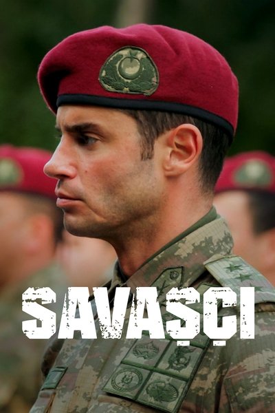 Póster de Warrior