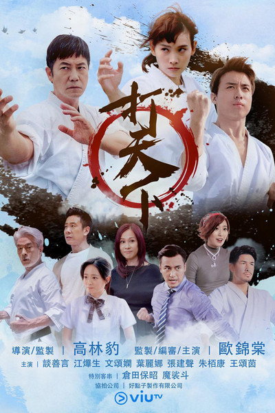Póster de Warriors Within