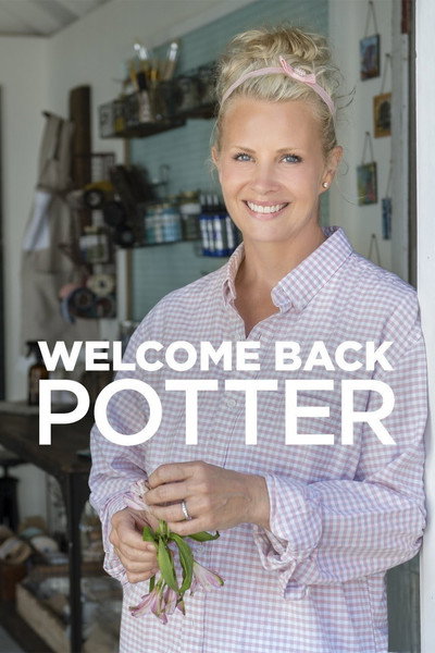 Póster de Welcome Back Potter