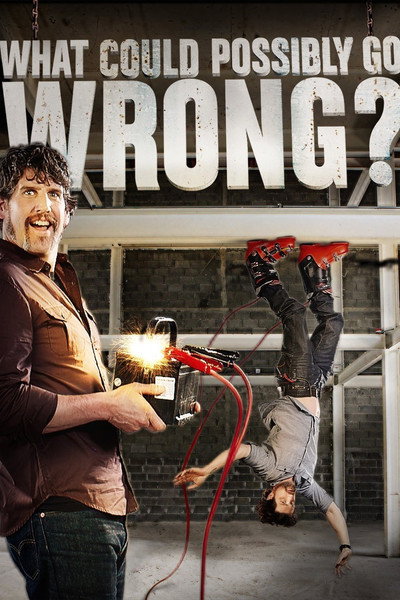 Póster de What Could Possibly Go Wrong?