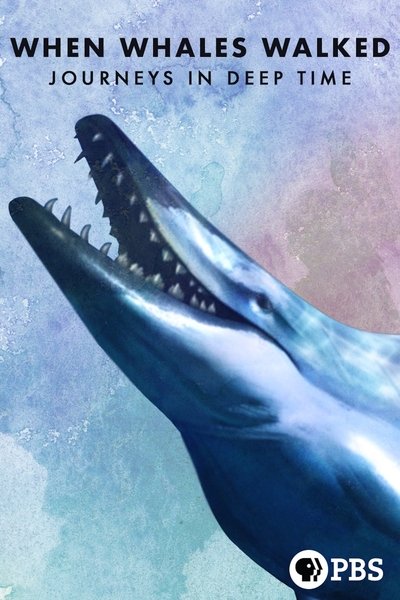 Póster de When Whales Walked: Journeys in Deep Time