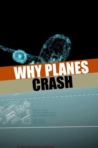 Póster de Why Planes Crash