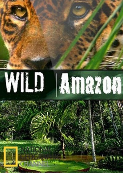 Póster de Wild Amazon: Savage Realm