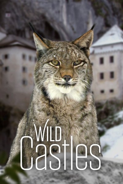 Póster de Wild Castles