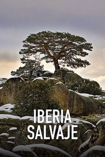 Póster de Wild Iberia