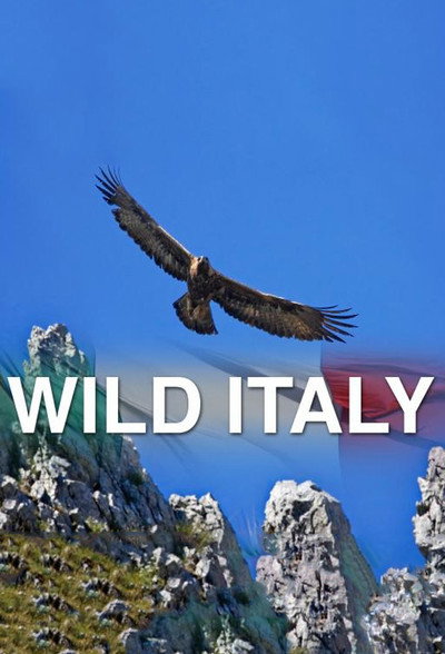 Póster de Wild Italy