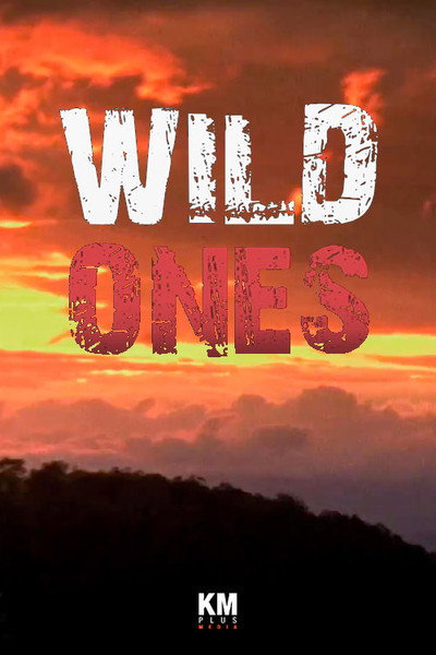 Póster de Wild Ones
