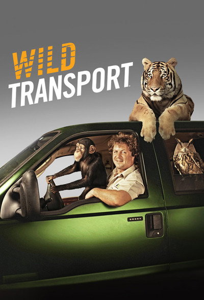 Póster de Wild Transport