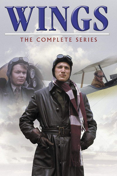 Póster de Wings