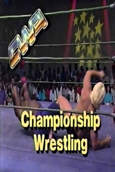 Póster de Wrestling