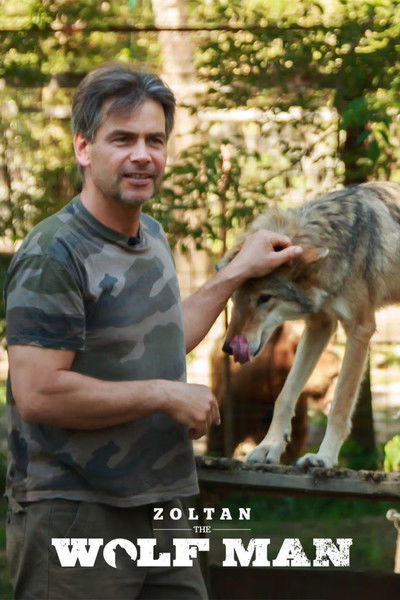 Póster de Zoltan, the WolfMan
